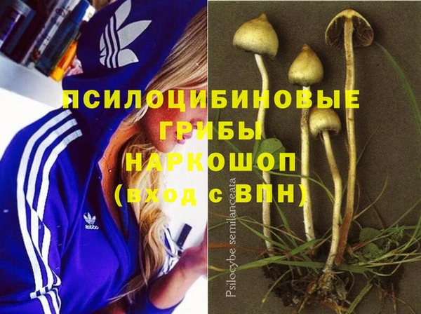 ECSTASY Нефтекумск