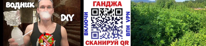 omg ТОР  Приволжск  Конопля семена 